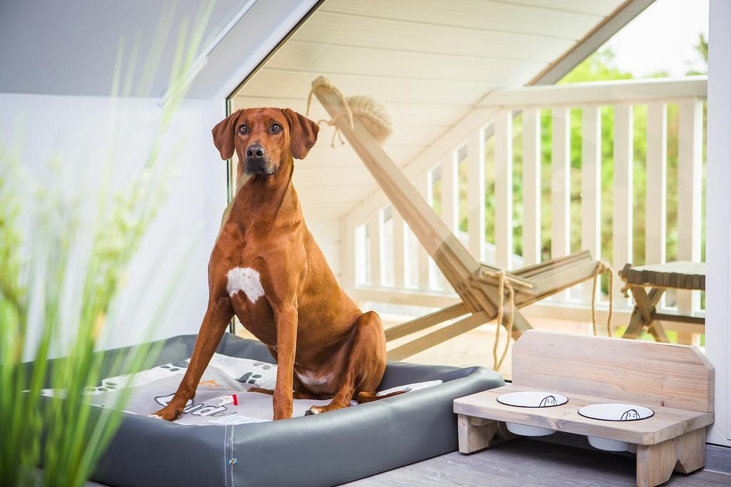 Bude54 Sankt Peter-Ording Ngoại thất bức ảnh